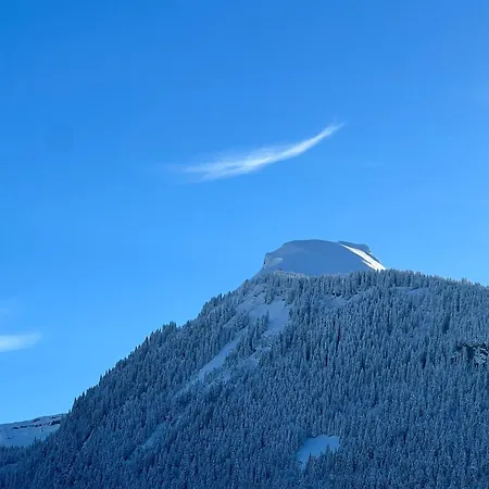 Igloo 3* Morzine