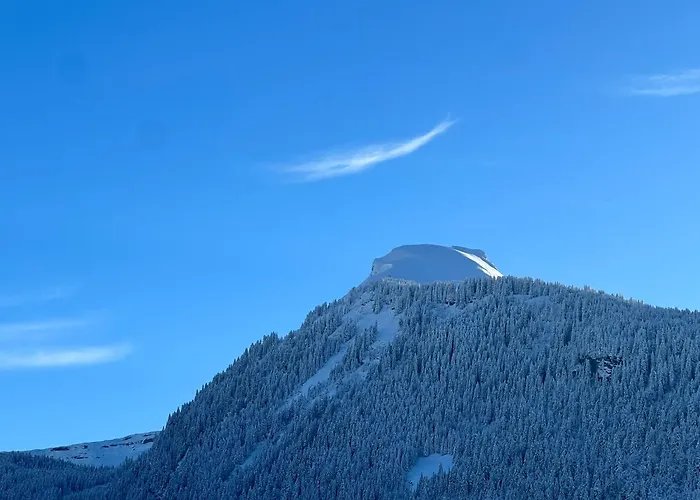 Igloo 3* مورزين